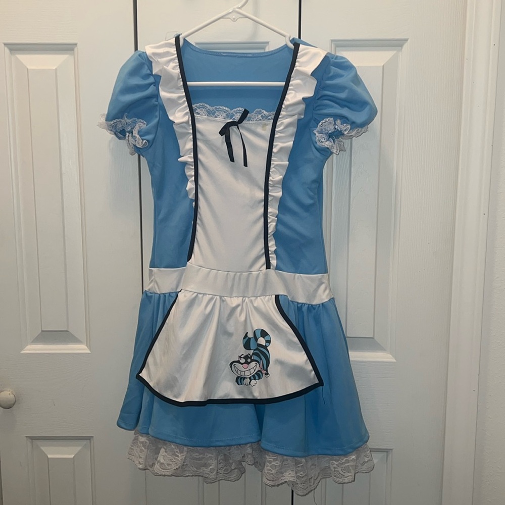 🚫♻️Alice in Wonderland Dress Costume